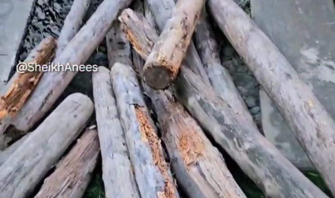 Residents Outraged Over 10000 Feet of Decayed Logs in Compartment Number 68 in Sindh Range Kangan Forest