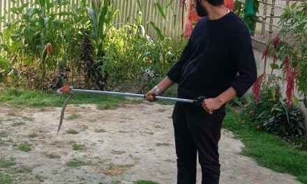 Local Biodiversity Conservationist Jafar Majeed Rescues Venomous Levantine Viper in Bonibagh, Kangan