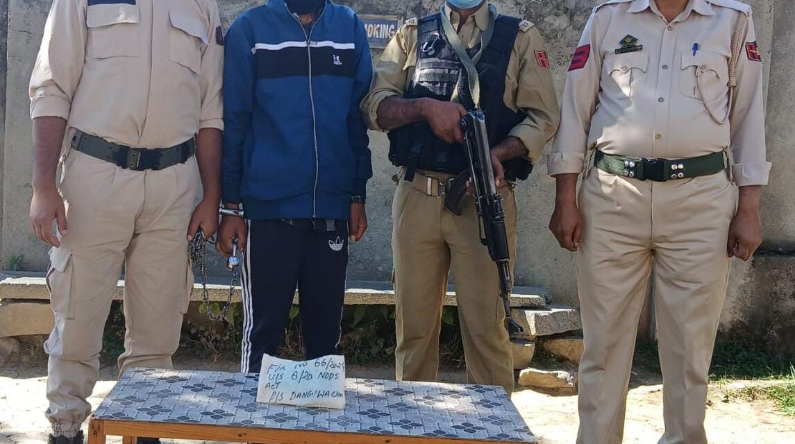 Sopore Police arrested one drug peddler and recovered Contraband Substances.