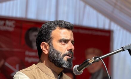 Expect J&K Assembly to pass resolution for restoration of Article 370 in first session: Ruhullah Mehdi