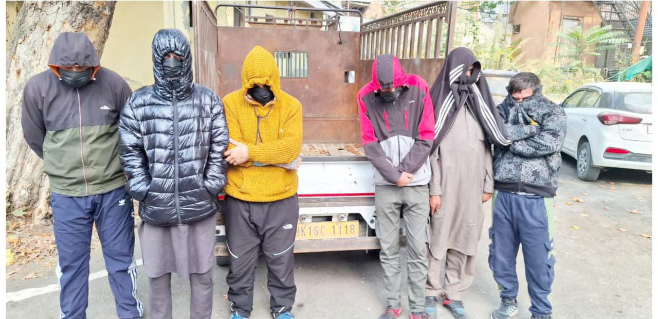 Livestock Theft Case Solved by Ganderbal Police;06 accused persons arrested; stolen livestock worth lacs recovered.