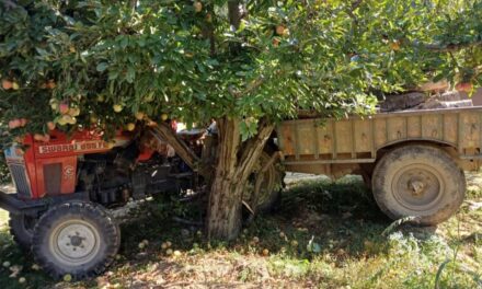 24-Year-Old youth Crushed to Death by Own Tractor in Qaziabad Kupwara