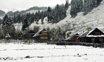 Light snowfall over higher reaches of J&K on October 16, 17: MeT