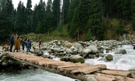 Tourist dies, another injured after falling at Doodhpathri, Budgam