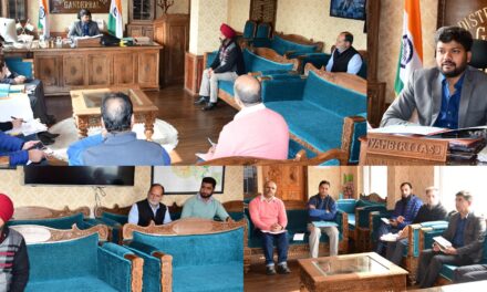 DC Ganderbal reviews implementation of PM Surya Ghar Muft Bijli Yojana