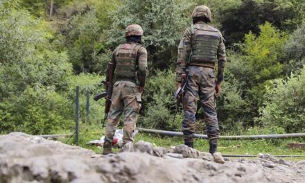 Terror attacks rocked 8 of 10 Jammu districts in 2024; 13 terrorists among 44 killed