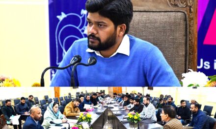 DC Ganderbal reviews functioning of Revenue Department