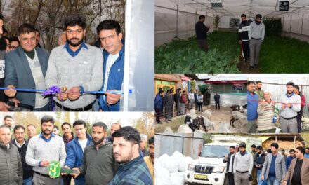 DC Ganderbal inspects, inaugurates various HADP approved projects at Block Lar