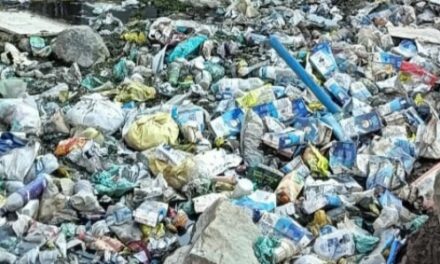 Sonamarg turns into a garbage dumping site