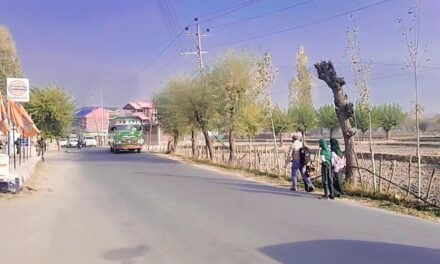 Traffic restored on Bandipora-Srinagar Road, BDS clears suspicious object