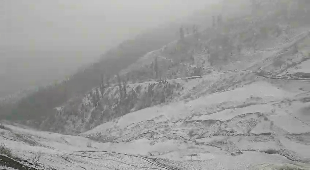 Gurez higher reaches receive fresh snowfall