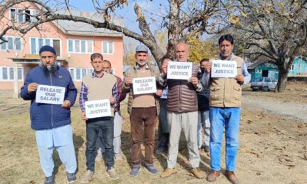 Salary with held for 3 months, Power employees stage protest in Kangan