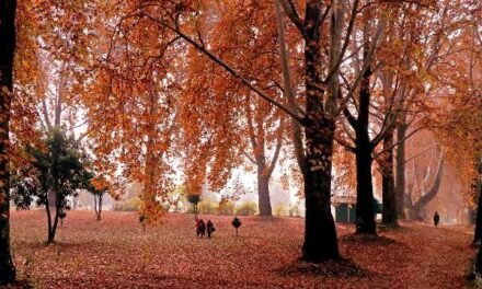 Kashmir in Autumn: A Golden Paradise