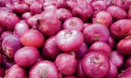 Onion prices likely to cool down further with arrival of new kharif crop: Govt official