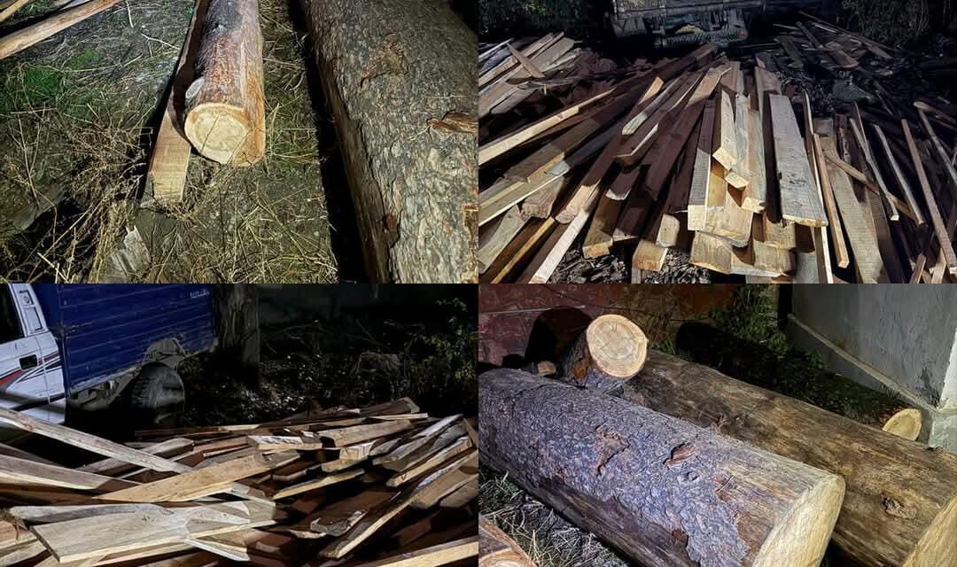 Huge quantity of Illicit forest timber seized in Bandipora , FIR Registered