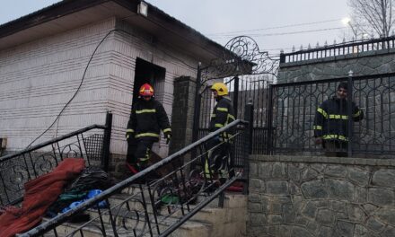 Swift response from firefighters save Joggers Park hut from damage, Walkers appreciate Fire and Emergency Services Department