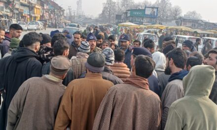 Traffic police Kulgam launches special drive against wrong parking in Qazigund