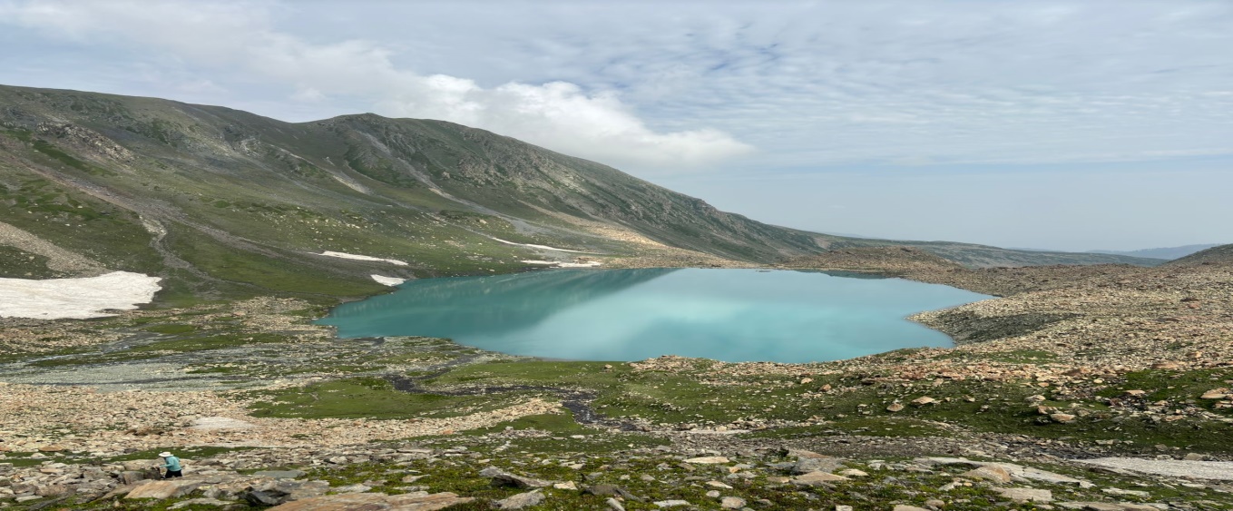 IMG-20241224-WA0007