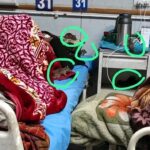 Patients Struggle with Rat Infestation at RIMS in GMC Anantnag