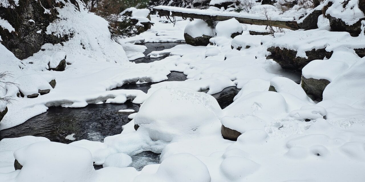 Cold wave continues, light rain, snow forecast in J&K