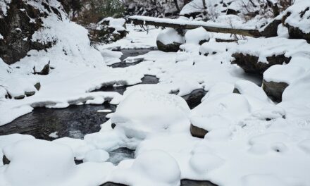 Cold wave continues, light rain, snow forecast in J&K