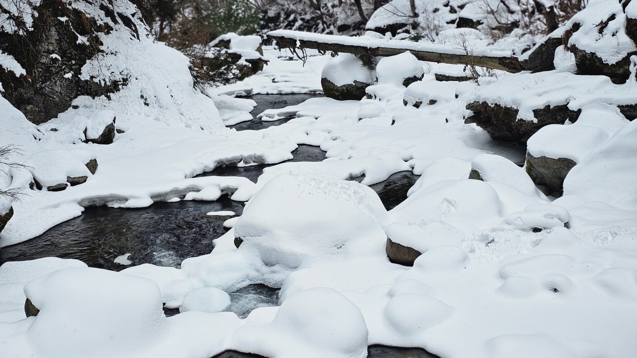 Cold wave continues, light rain, snow forecast in J&K