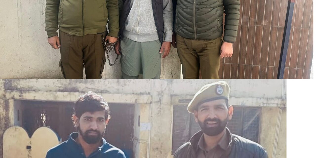 TWO NOTORIOUS BOVINE SMUGGLERS BOOKED UNDER PSA BY JKP IN NAGROTA AND JHAJJAR KOTLI AREA OF JAMMU