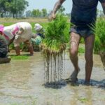 Centre plans permanent framework for weather advisory units for farmers shut last year