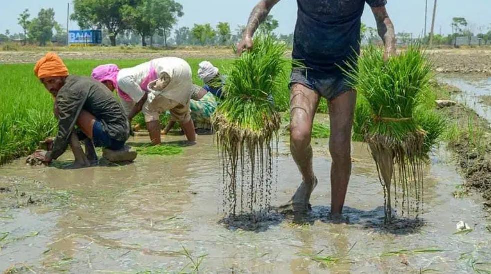 Centre plans permanent framework for weather advisory units for farmers shut last year