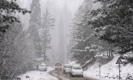 Cloudy Weather with Light Rain, Snow Likely in J&K Parts till Feb 7: Director MET