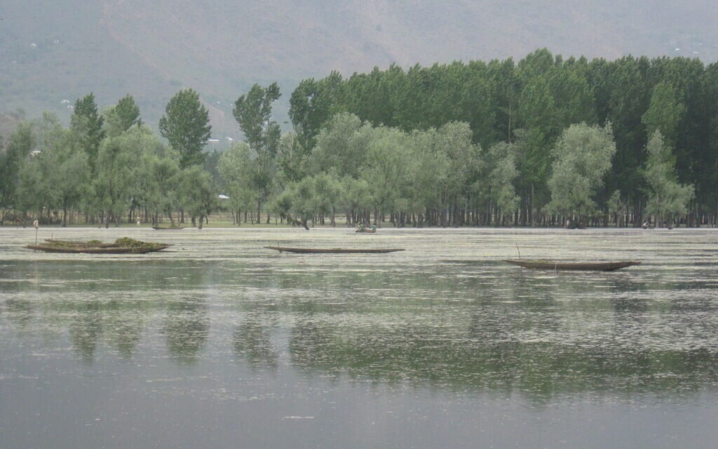 1.35 lakh Willows felled at Wular, 19 lakh plants raised: Govt informs House