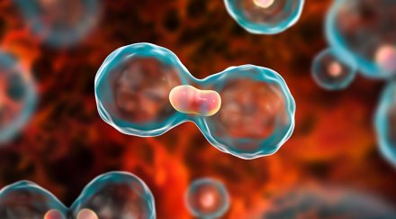 10,000 Cancer cases in J&K hospitals in 2025, SKIMS tops with 16,000 in 3 Years