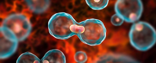 10,000 Cancer cases in J&K hospitals in 2025, SKIMS tops with 16,000 in 3 Years