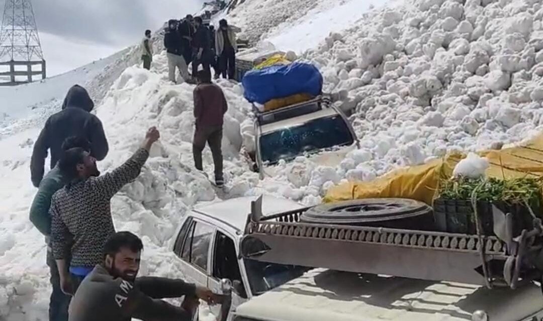 Avalanche Near Zojila Traps Vehicles