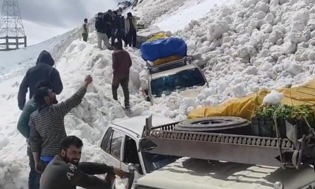 Avalanche Near Zojila Traps Vehicles