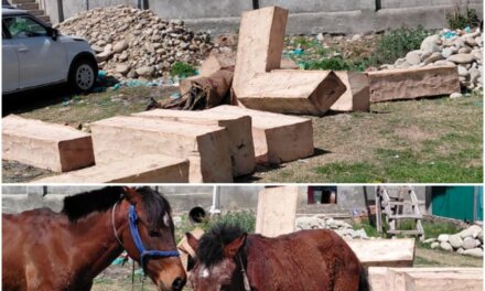 J&K Police Foils Illegal Timber Smuggling Bid In Pulwama; 02 held