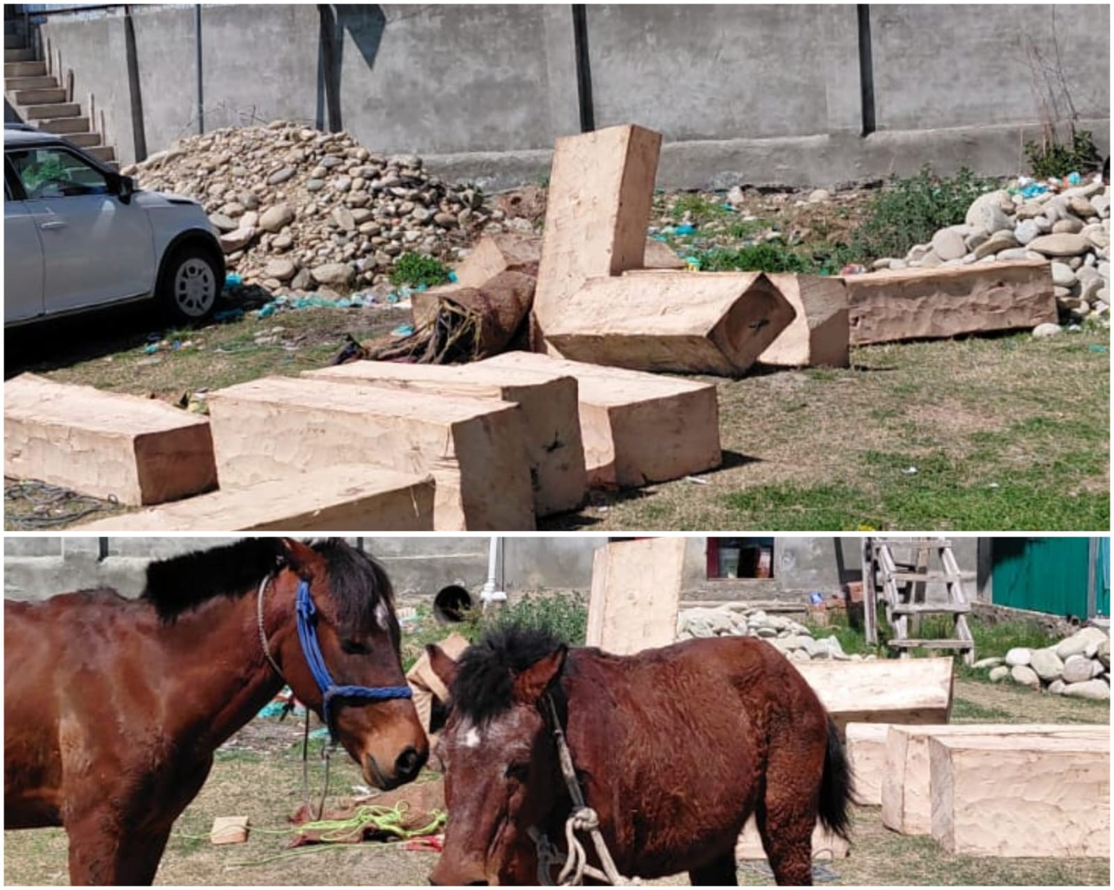 Illegal timber seized in Pulwama