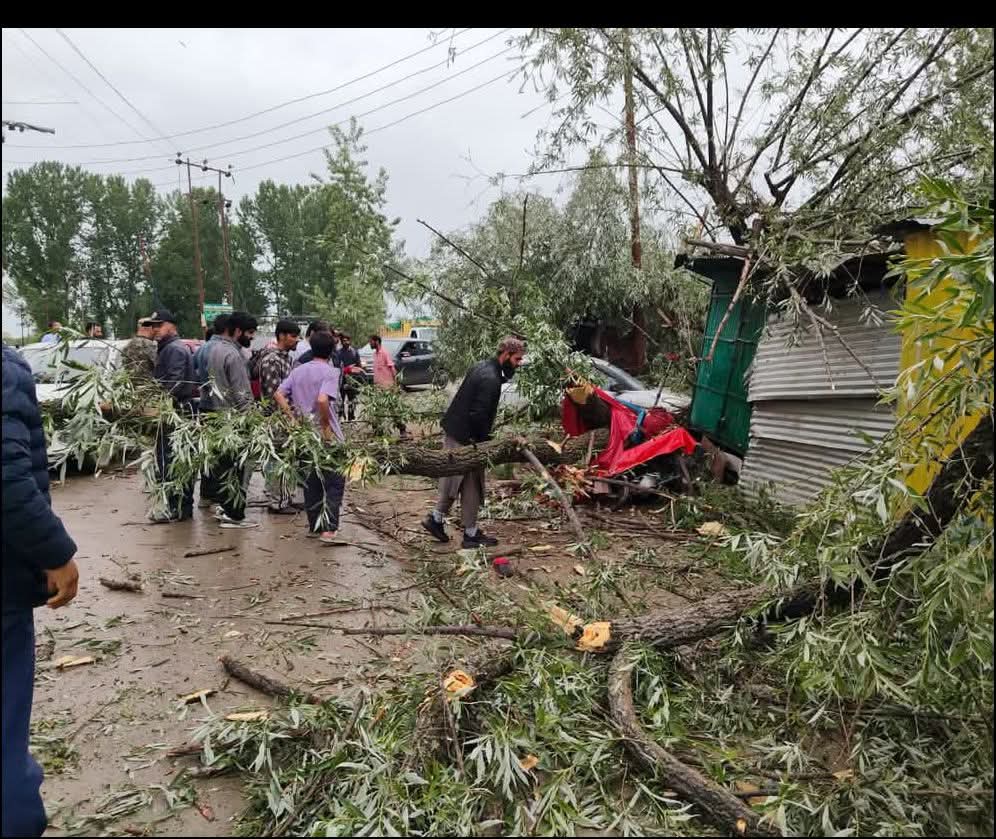 Gusty Winds: Non-Local Vendor Injured After Tree Falls in Sumbal