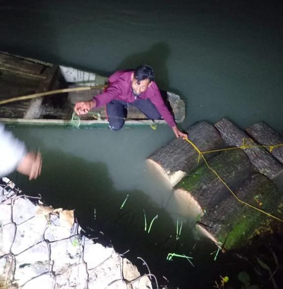Timber Smuggling Bid Foiled in Ganderbal, Willow Logs Worth Lakhs Seized