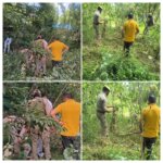 Nasha-Mukt J&K Abhiyan;Police Destroy Illicit Poppy Cultivation In Ganderbal; Case Registered 1 Poppy destroyed in Ganderbal