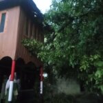 IMG 20260625 WA0003