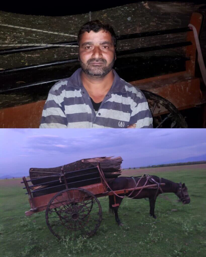 Police arrest forest theft accused in Sopore Police arrest forest theft accused in Sopore