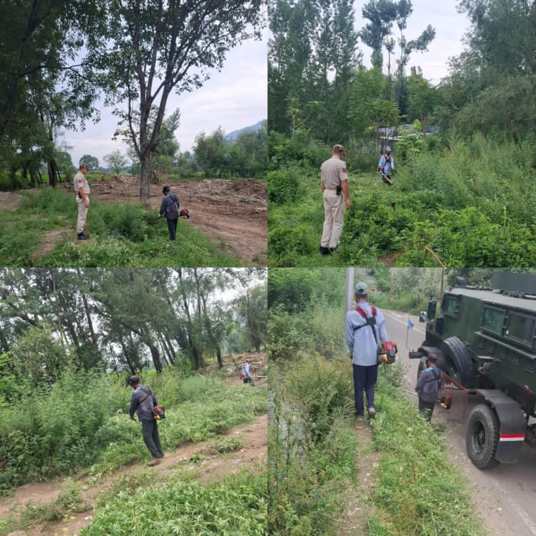 police launches wild bhang destruction drive in Ganderbal