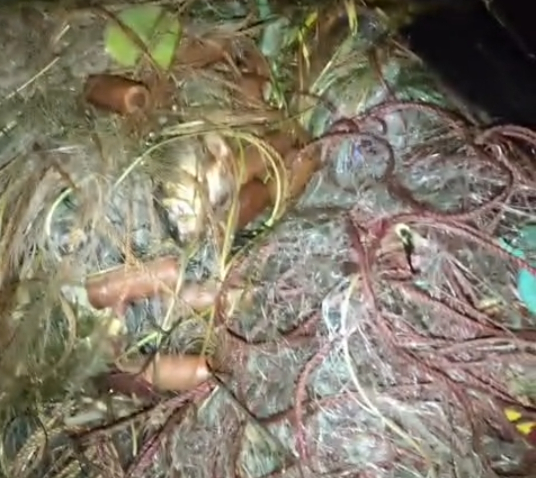 Fisheries Department, Police Remove 20 Illegal Gillnets in Night-Long Operation in Bandipora