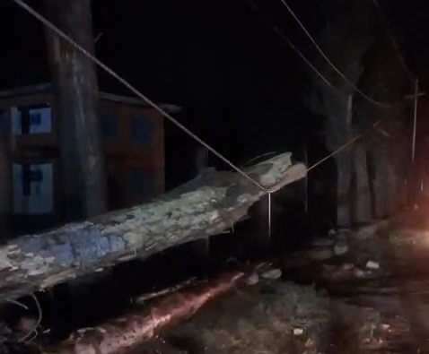 KPDCL Field Staff Brave Strong Winds, Work Through Night to Restore Power in Ganderbal