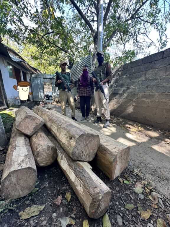 Bandipora Police Crack Down on Illegal Timber Trade; Six Timber Logs Seized, Accused Arrested in Sumlar