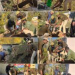 Police organises District Wide Ekta Diwas Plantation drive in Ganderbal