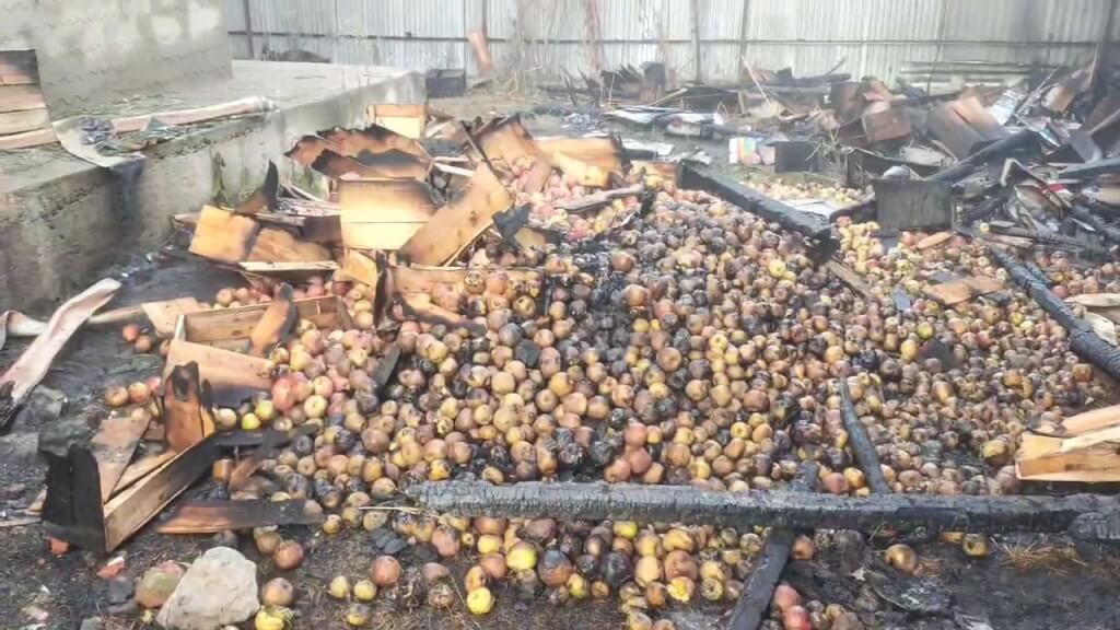 Apple stock goes up in flames in Sopore